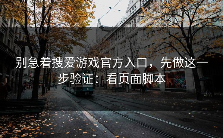 别急着搜爱游戏官方入口，先做这一步验证：看页面脚本