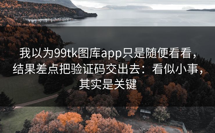 我以为99tk图库app只是随便看看，结果差点把验证码交出去：看似小事，其实是关键