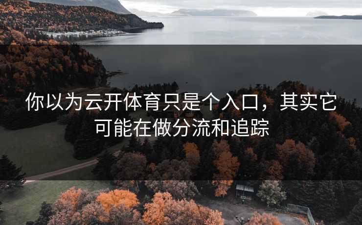 你以为云开体育只是个入口,其实它可能在做分流和追踪 你以为云开体育只是个入口,其实它可能在做分流和追踪